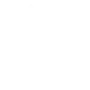 ai_strategy_consulting